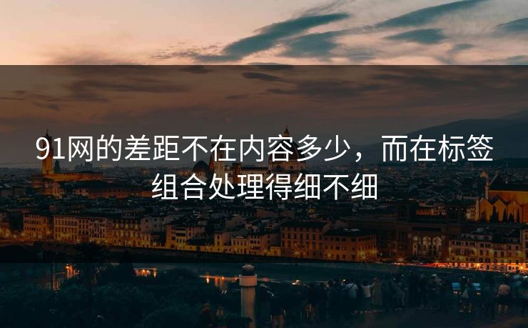 91网的差距不在内容多少，而在标签组合处理得细不细